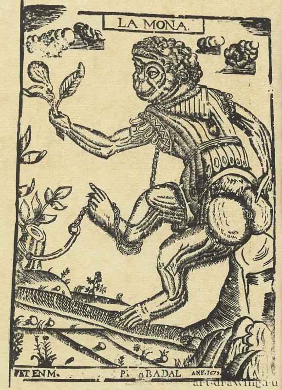 Обезьяна. 1679 - 370 х 360 мм. Ксилография. Барселона. Каталонская библиотека. Испания.