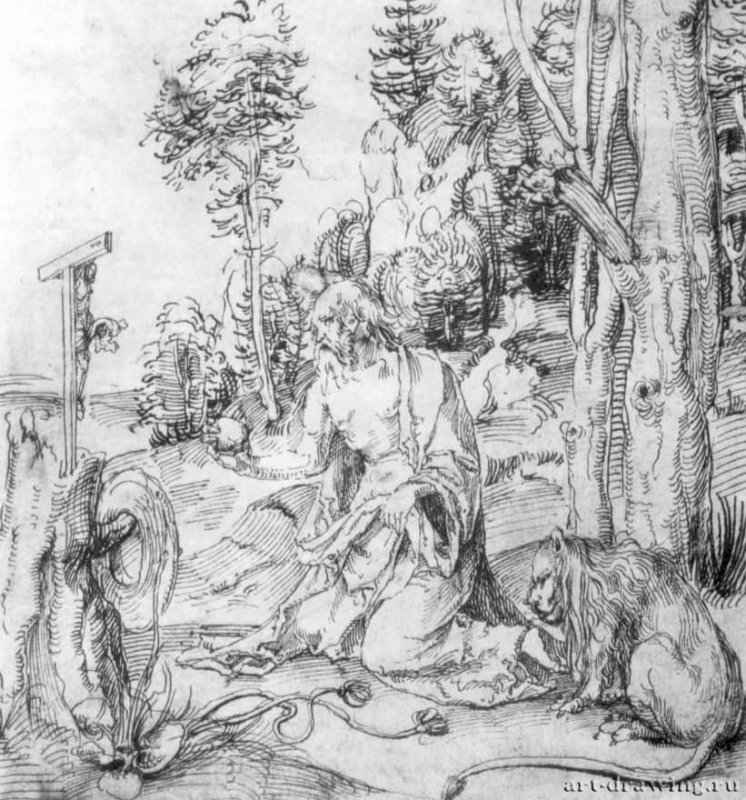 Святой Иероним. 1507-1510 - 202 x 189 мм. Перо на бумаге. Лондон. Собрание Кох. Германия.