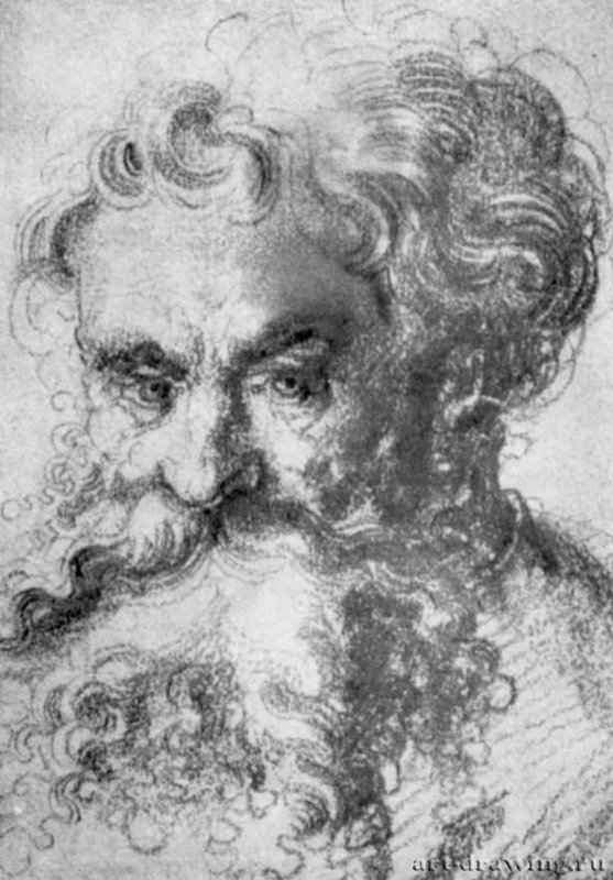 Голова мужчины. 1510-1515 - 112 x 79 мм. Мел на бумаге. Дрезден. Гравюрный кабинет Государственных художественных собраний. Германия.