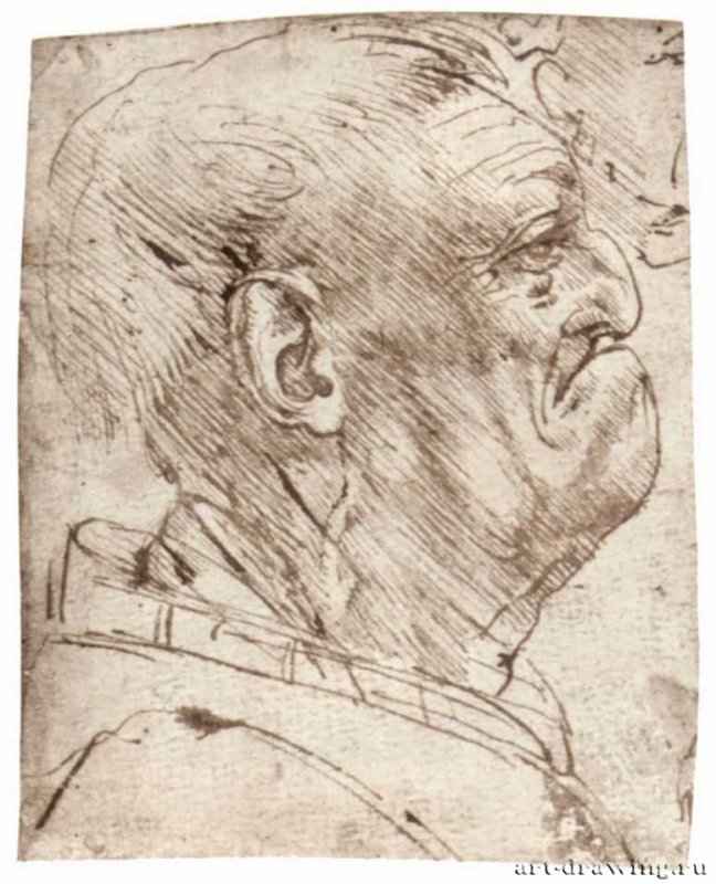Леонардо да Винчи: Мужская карикатура 1508-1513.