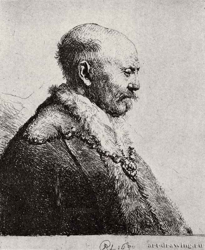 Голова лысого старика в профиль вправо. 1630 - Офорт 70 x 59 мм Собрание Я. де Брёйна