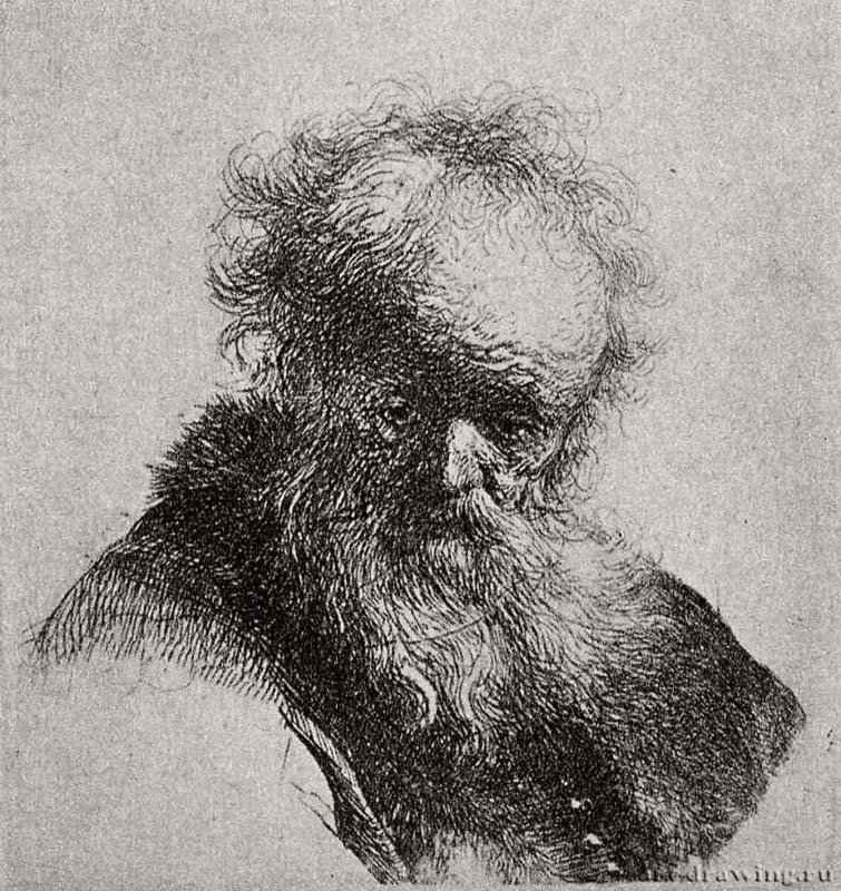 Голова старика с длинной бородой, глядящего в сторону. 1630 - Офорт 72 x 65 мм Собрание Я. де Брёйна