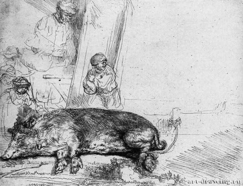 Свинья. 1643 - Офорт. Первое состояние из двух 14,3 x 18,1 ГМИИ им. А.С. Пушкина Москва