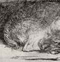 Спящая собака. 1640 - Офорт 40 x 81 мм Собрание Я. де Брёйна