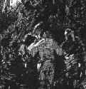 Охотники в лесу (Набросок) 1889-1890 гг. - Бумага, тушь, карандаш; В свету 8,7 х 5,6 см.