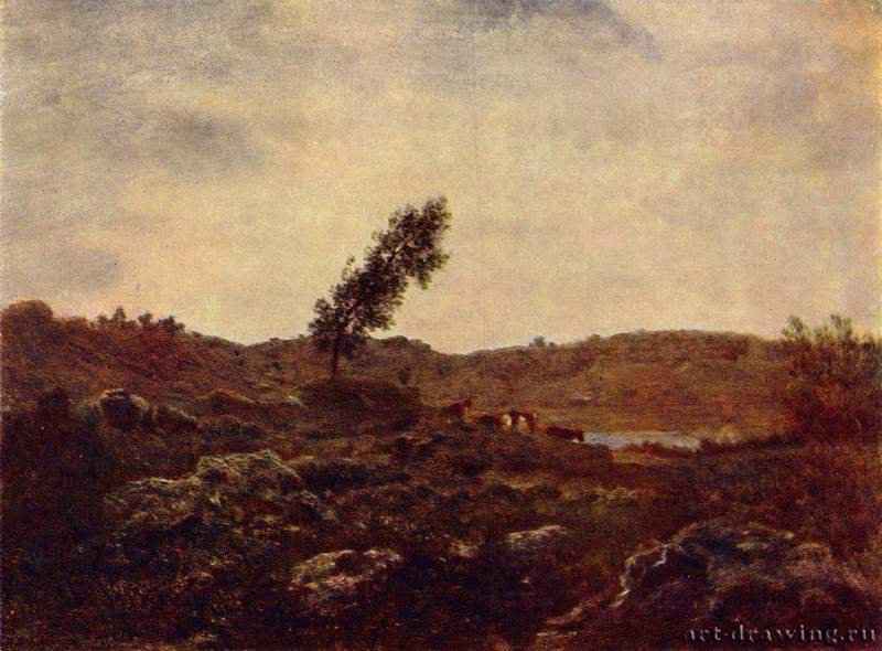 Вид на Барбизон. 1850 * - 24 x 32 смХолст, маслоРеализм, барбизонская школаФранцияМосква. ГМИИ им. А.С. Пушкина