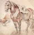 Этюд коня. 1619-1620 - 400 х 425 мм. Черный мел, сангина. Вена. Собрание графики Альбертина. Фландрия.