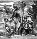Скульптурная группа "Лаокоон" в виде обезьян. 1566 - Тициан Вечелио (круг): 265 х 401 мм. Ксилография. Берлин. Гравюрный кабинет. Гравер: Больдрини, Николо.