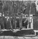 Деревья и дома в Амальфи. 1829 - 205 x 295 мм. Перо и кисть сепией, по наброску карандашом, на белой бумаге. Берлин. Гравюрный кабинет.
