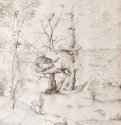 Человек-дерево в пейзаже. 1510-1515 - 277 х 211 мм. Перо коричневой тушью, на бумаге. Вена. Собрание графики Альбертина. Нидерланды.