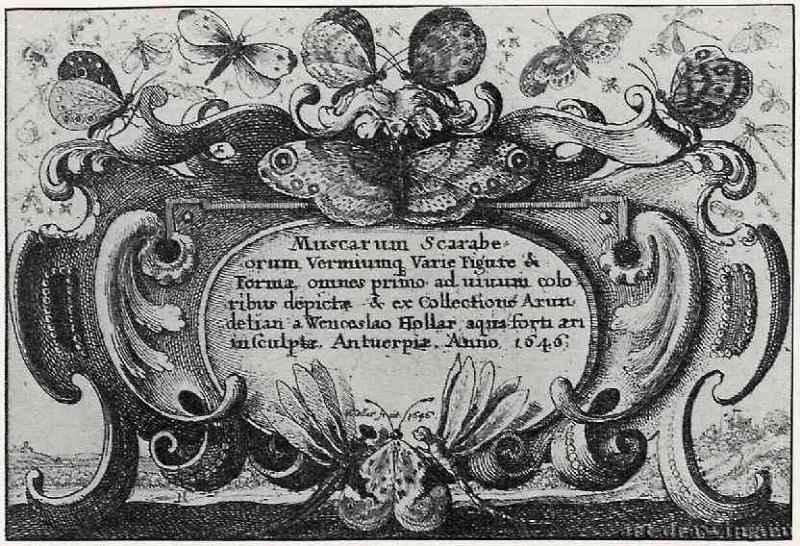 Фронтиспис с изображением насекомых. 1646 - 82 х 122 мм. Офорт и гравюра сухой иглой. Париж. Нидерландский институт, Основное собрание, коллекция Ф. Люхта. Чехия.