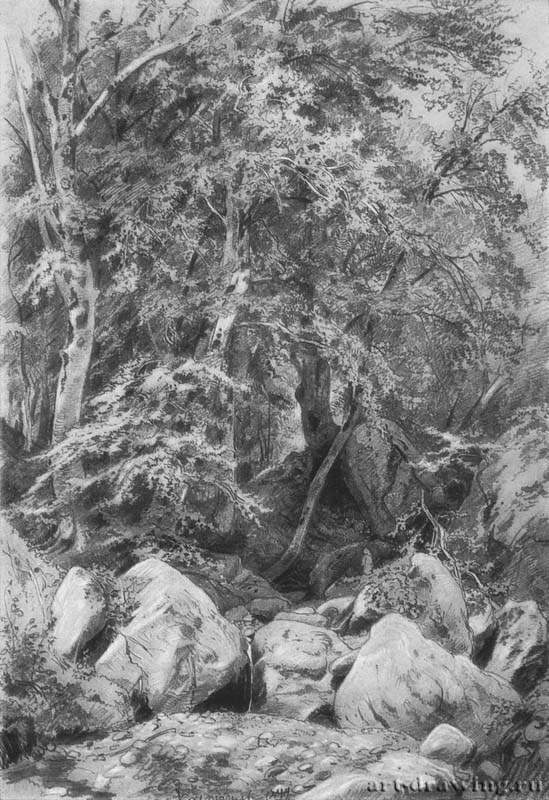 Деревья у ручья на горе Кастель. 1879 - 46 х 31