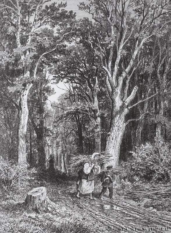 Дорога в лесу. 1869 - 28,3 х 20,3