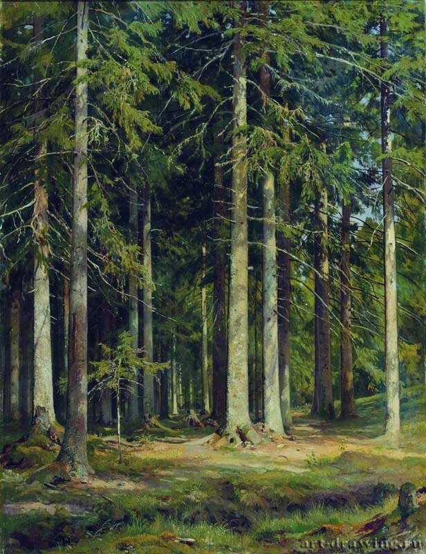 Еловый лес. 1891 - 109 х 85