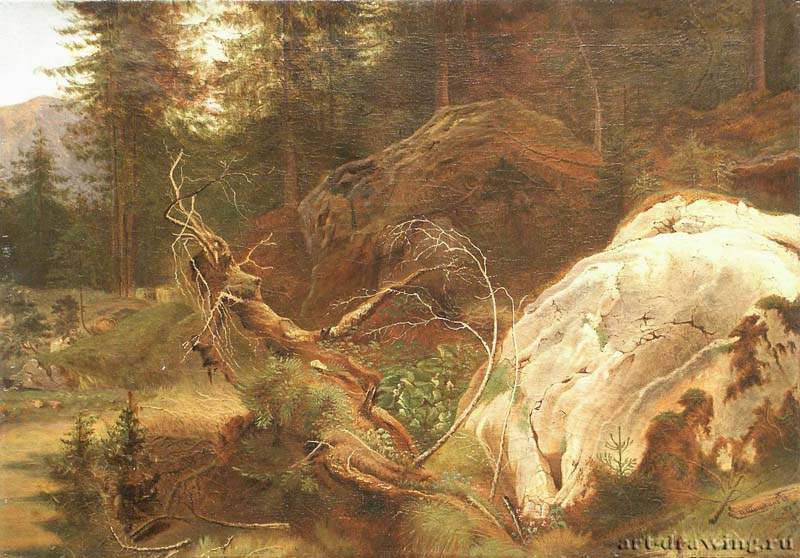 Камни в лесу. 1865