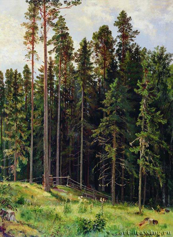 Лес. 1892 - 112 х 86