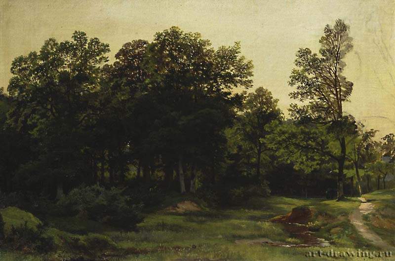 Лиственный лес. 1890-е - 34,6 х 51,6