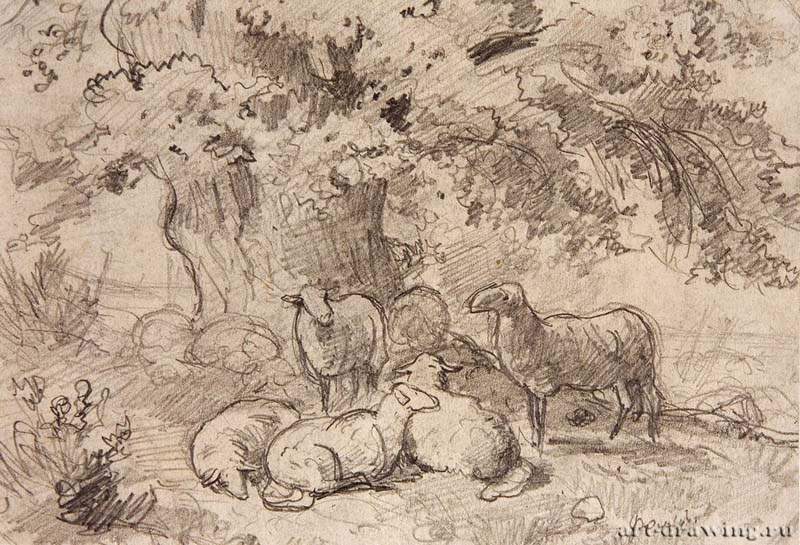 Овцы под дубом. 1862-1864 - 13,5 х 19.6