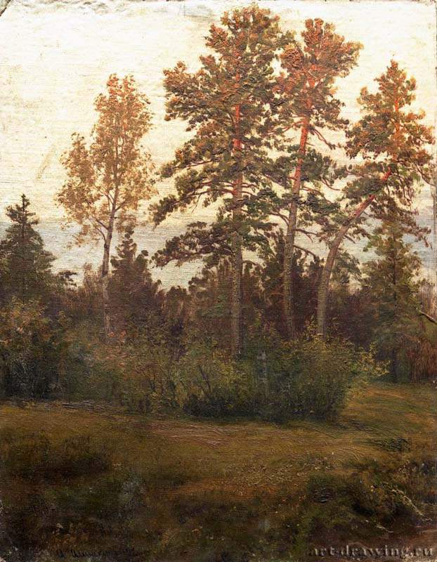 Опушка леса. 1892