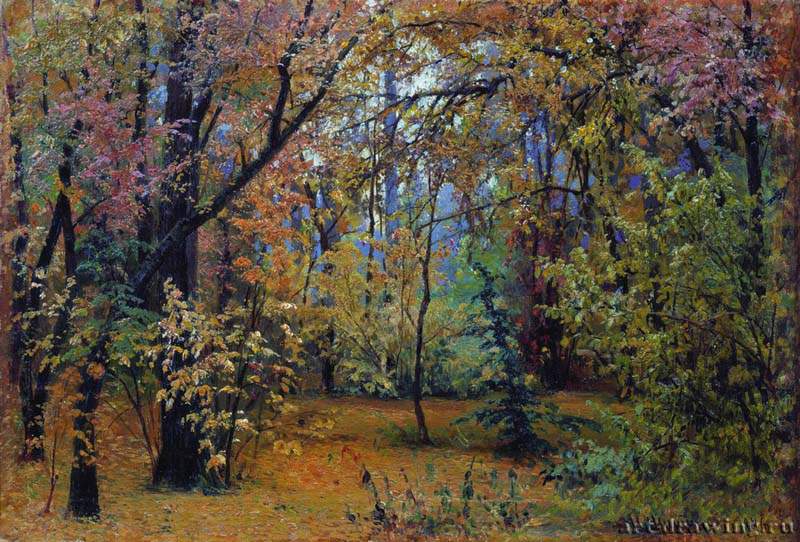 Осенний лес. 1876 - 30.5 х 45.5