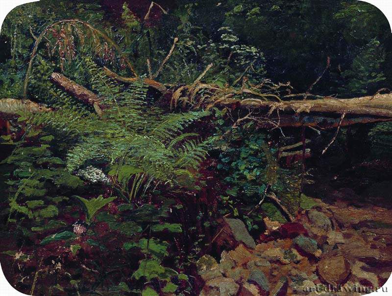 Пейзаж. 1896 - 22 Х 36