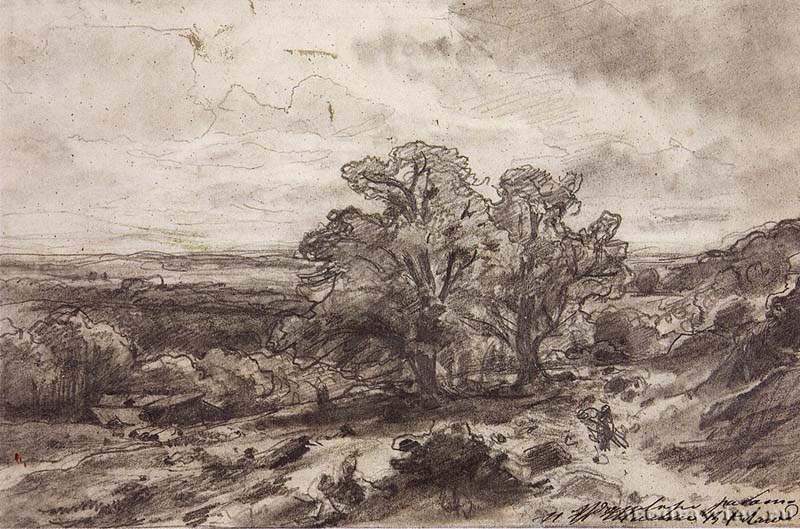 Пейзаж с дубами. 1864 - 18 х 27,4
