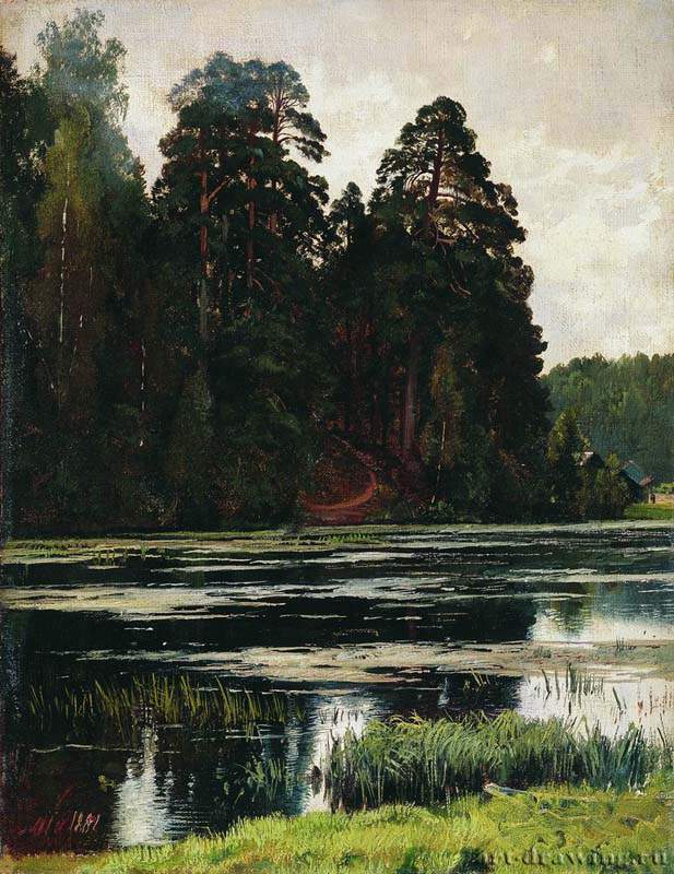 Пруд. 1881 - 38 х 29.5