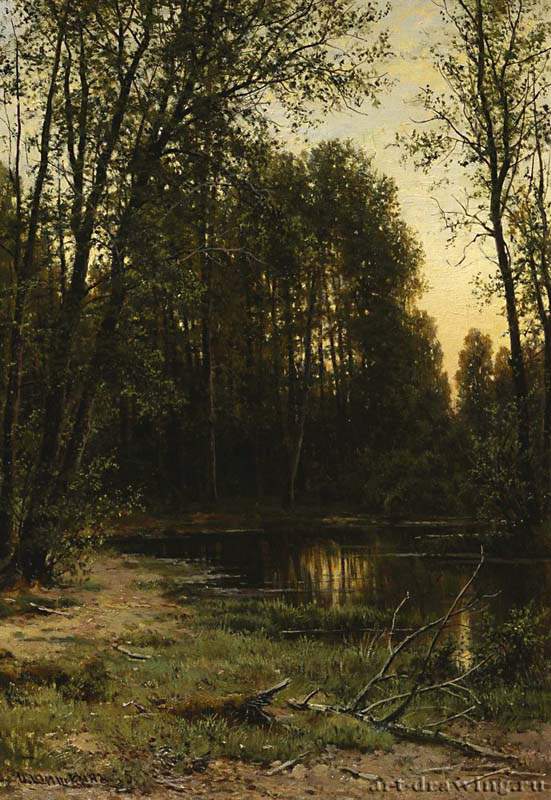 Речная заводь в лесу. 1889-1890 - 52 х 47