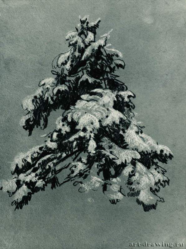 Сосна под снегом. 1890 - 20,5 х 15,5