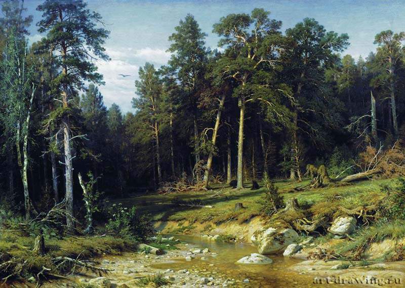 Сосновый бор. Мачтовый лес в Вятской губернии. 1872 - 117 х 165