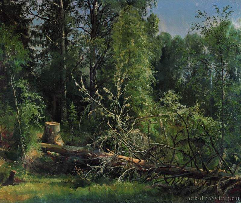 Срубленное дерево. 1875 - 50 х 59,5