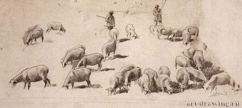 Стадо овец. 1862-1864 - 9,6 х 21,5