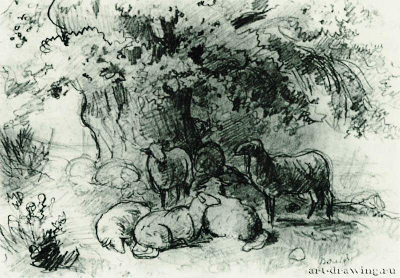Стадо овец под дубом. 1863 - 13,5 х 19,6