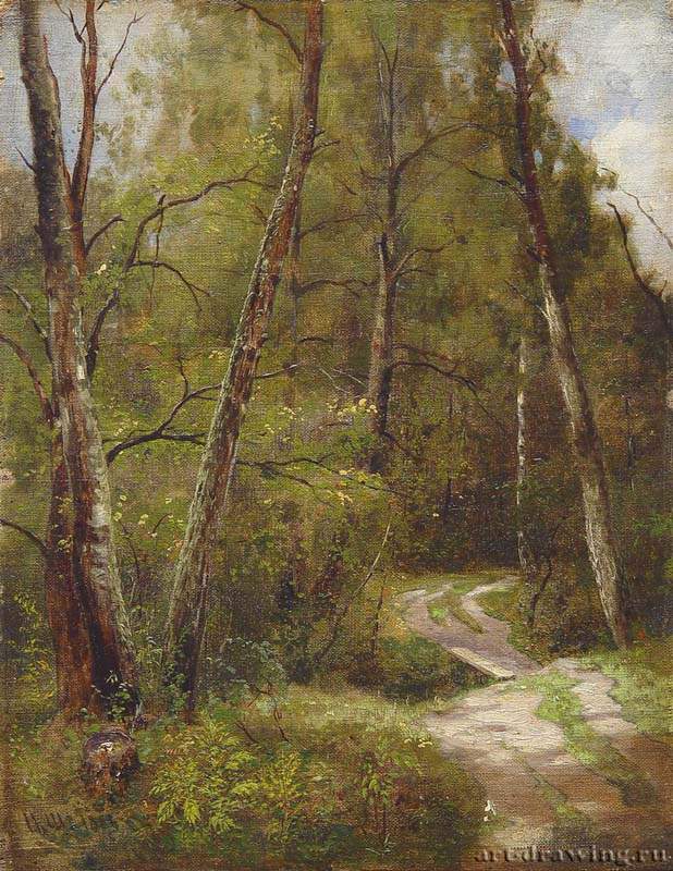 Тропинка в лесу. 1886