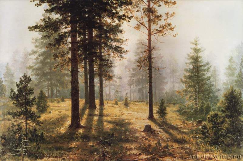 Туман в лесу. 1890-е - 27 х 34