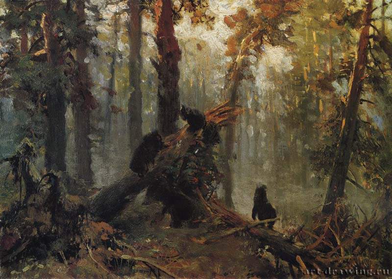 Утро в сос.лесу. Эскиз. 1889 - 28,3 х 40,1