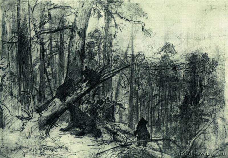 Утро в сосновом лесу. Конец 1880-х - 23,2 х 33,5