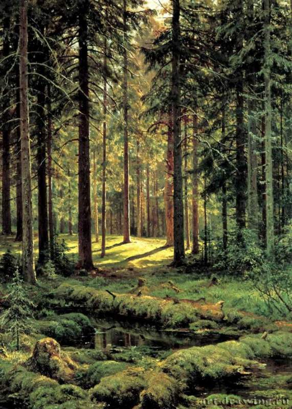 Хвойный лес. Солнечный день. 1895 - 137 х 103