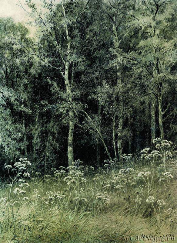Цветы в лесу. 1877 - 28,4 х 21,3