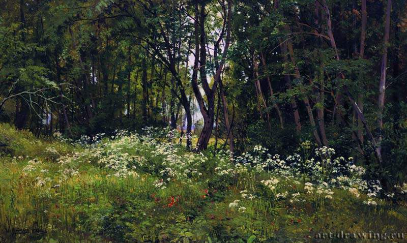 Цветы на опушке леса. 1893 - 42 х 67