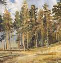 Сосны. Солнечный день. 1890-е - 23 х 35
