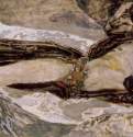 Летящий Демон, 1899 г. - Холст, масло; 138,5 х 430,5 см. Санкт-Петербург. Государственный Русский музей.