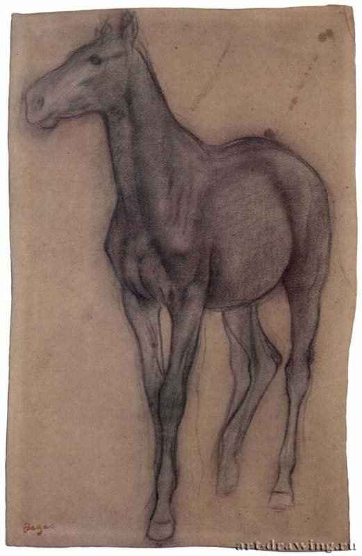 Идущая шагом лошадь. 1866-1868 - 324 x 205 мм Уголь на коричневой бумаге Нью-Йорк. Собрание Тоу Франция