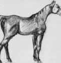 Стоящая лошадь в профиль. 1882 - 242 x 301 мм Черный мел на бумаге Роттердам. Музей Бойманса - ван Бёйнингена Франция