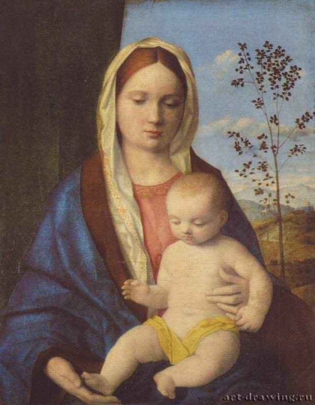 Беллини Джованни: Мадонна с младенцем. 1505-1510 -  50 x 41 см Холст Возрождение Италия Рим. Галерея Боргезе